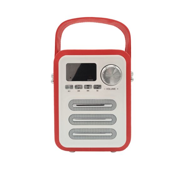 Altoparlante Bluetooth in legno moderno ed elegante BL20
