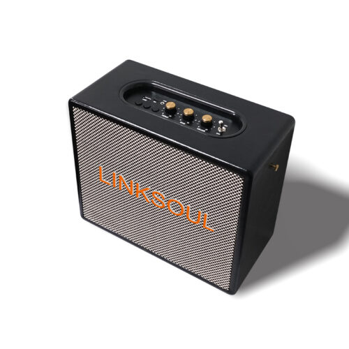 HT91 Potente altoparlante Bluetooth per karaoke in legno